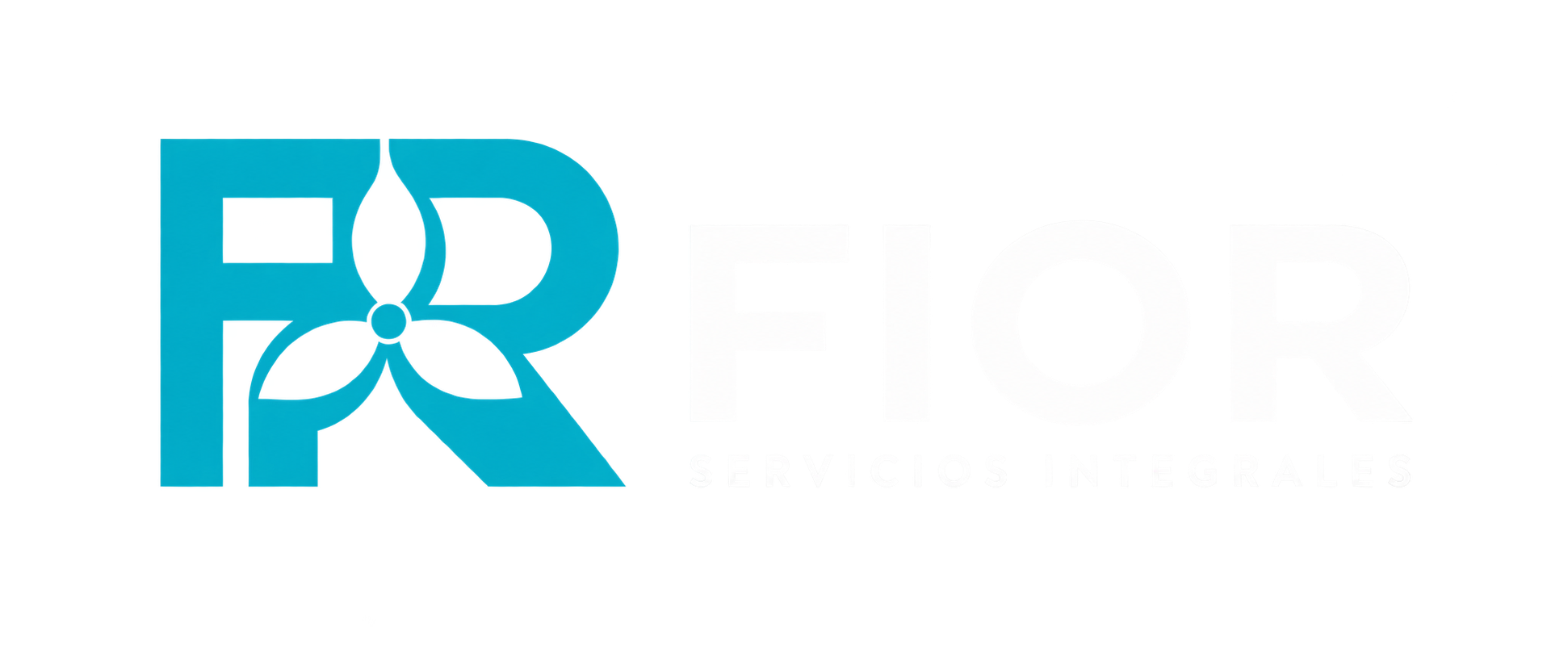 Servicio de limpieza en Vigo